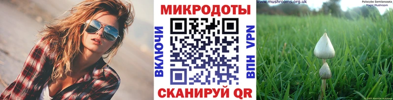 Галлюциногенные грибы Magic Shrooms  что такое наркотик  Шумерля 